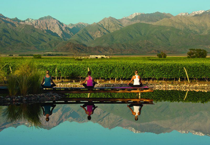 The Vines Resort & Spa Los Sauces  外观 照片